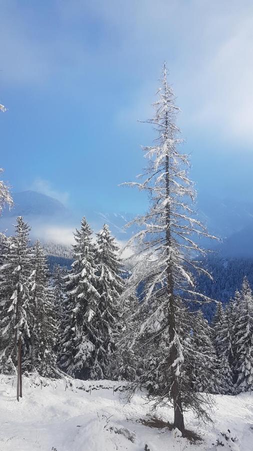 Auszeit Chalets Bschlabs Kültér fotó